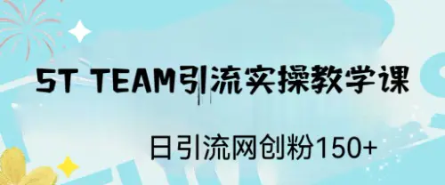 ST TEAM引流实操课，日引流网创粉100+-起飞项目网