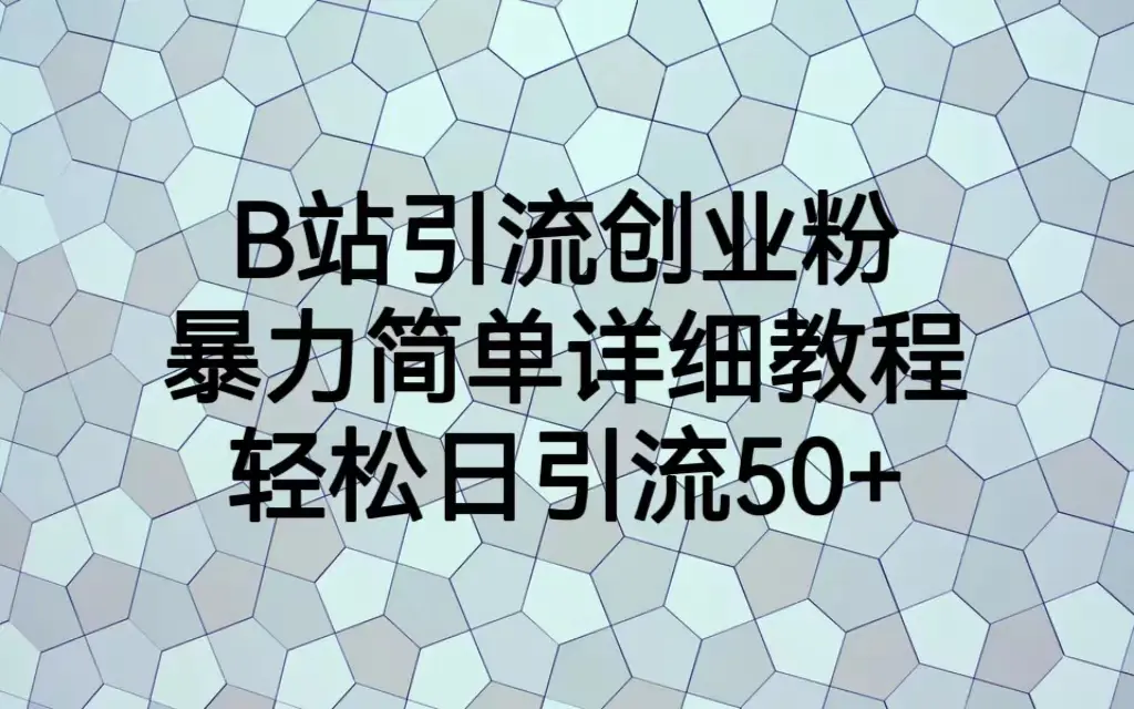 B站引流创业粉，暴力简单详细教程，轻松日引流50+-起飞项目网