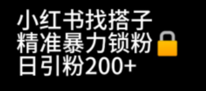 小红书找搭子暴力精准锁粉+引流日引200+精准粉-起飞项目网