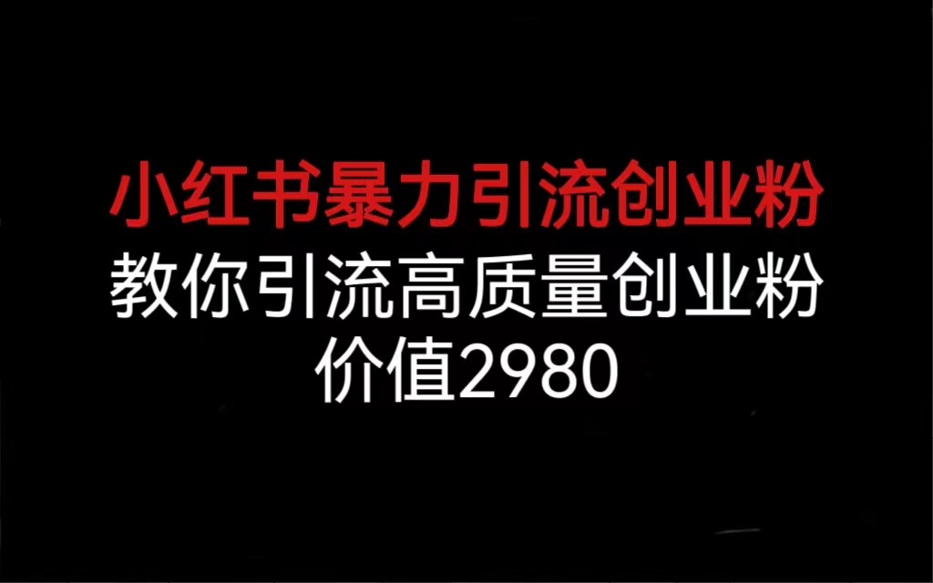 小红书暴力引流创业粉，教你引流高质量创业粉，价值2980-起飞项目网