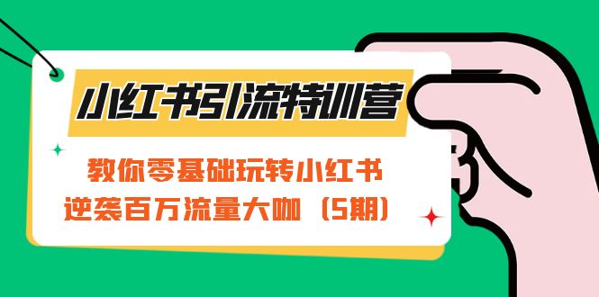 小红书引流特训营-第5期：教你零基础玩转小红书，逆袭百万流量大咖-起飞项目网