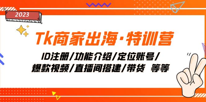 Tk商家出海·特训营：ID注册/功能介绍/定位账号/爆款视频/直播间搭建/带货.-起飞项目网