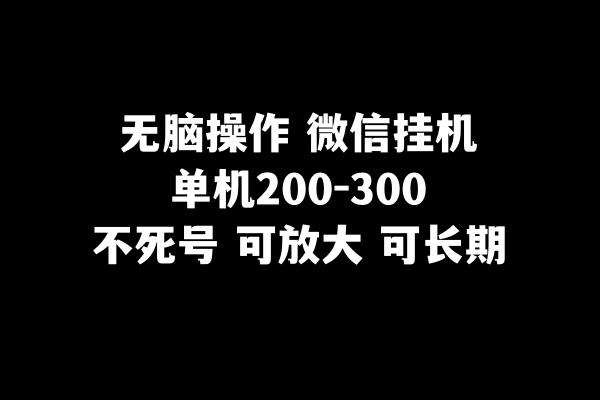 无脑操作微信挂机单机200-300一天，不死号，可放大-起飞项目网