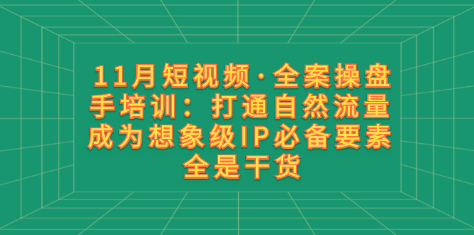 11月短视频·全案操盘手培训：打通自然流量 成为想象级IP必备要素 全是干货-起飞项目网