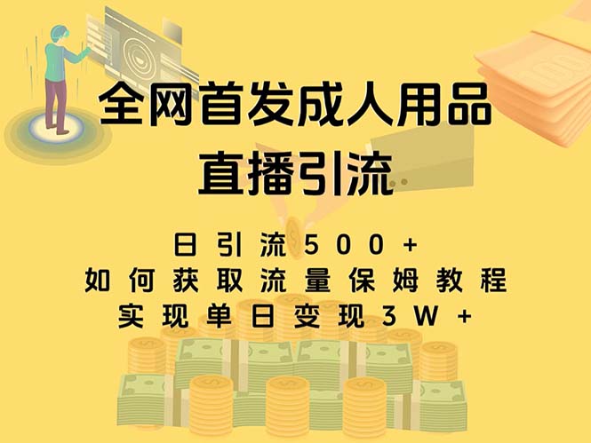 最新全网独创首发，成人用品直播引流获客暴力玩法，单日变现3w保姆级教程-起飞项目网