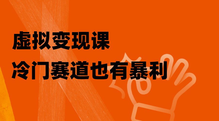 虚拟变现课，冷门赛道也有暴利，手把手教你玩转冷门私域-起飞项目网