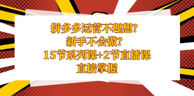 拼多多运营不理想？新手不会做？15节系列课+2节直播课，直接掌握-起飞项目网