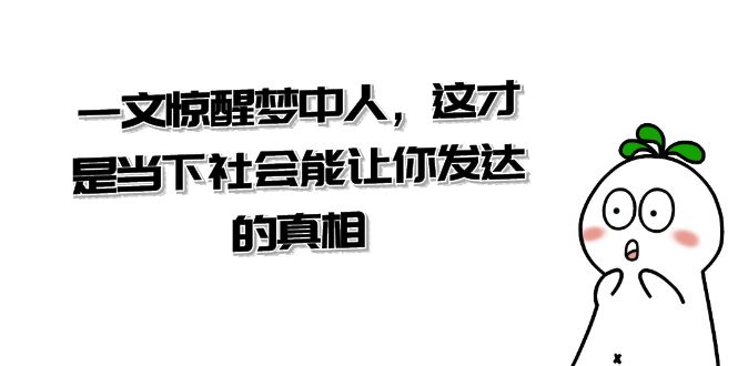 某公众号付费文章《一文 惊醒梦中人，这才是当下社会能让你发达的真相》-起飞项目网