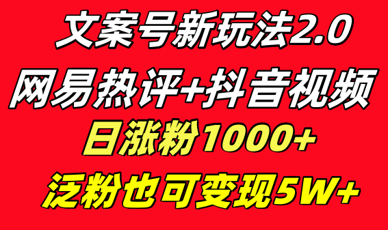 文案号新玩法 网易热评+抖音文案 一天涨粉1000+ 多种变现模式 泛粉也可变现-起飞项目网