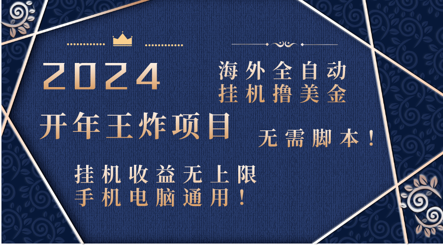 2024海外全自动挂机撸美金项目！手机电脑均可，无需脚本，收益无上限！-起飞项目网