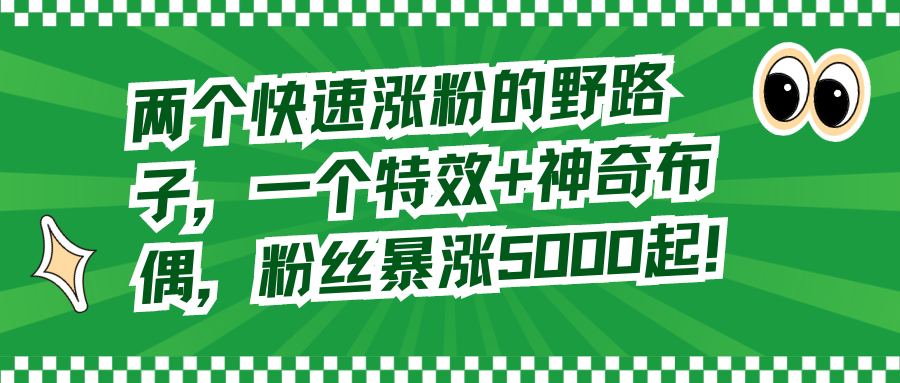 两个快速涨粉的野路子，一个特效+神奇布偶，粉丝暴涨5000起！-起飞项目网