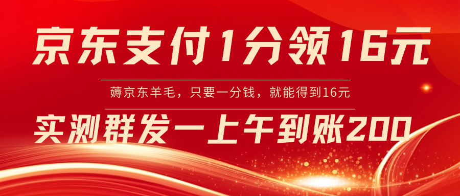 京东支付1分得16元实操到账200-起飞项目网