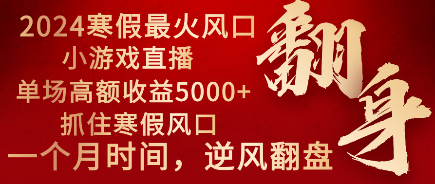 2024年最火寒假风口项目 小游戏直播 单场收益5000+抓住风口 一个月直接提车-起飞项目网