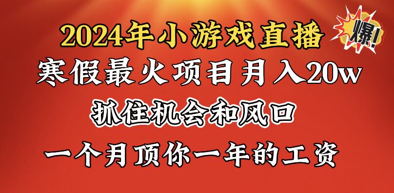 2024年寒假爆火项目，小游戏直播月入20w+，学会了之后你将翻身-起飞项目网