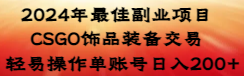 2024年最佳副业项目 CSGO饰品装备交易 轻易操作单账号日入200+-起飞项目网