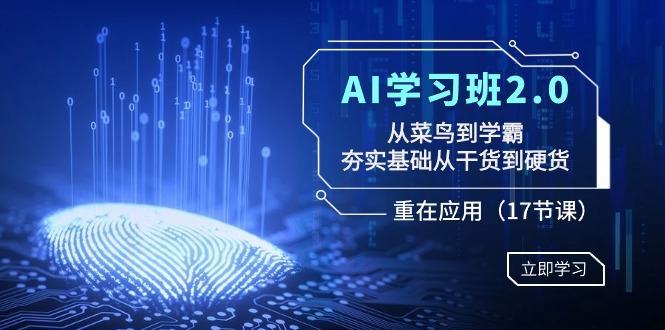 AI学习班2.0：从菜鸟到学霸，夯实基础从干货到硬货，重在应用（17节课）-起飞项目网