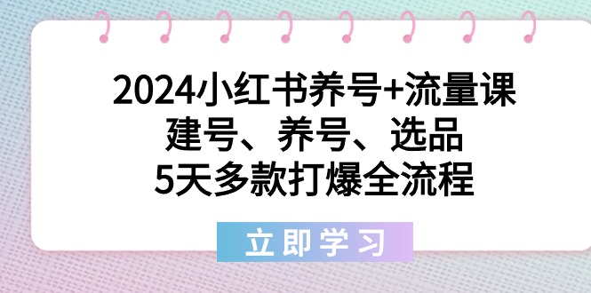 2024小红书养号+流量课：建号、养号、选品，5天多款打爆全流程-起飞项目网