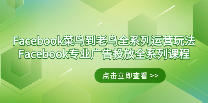 Facebook-菜鸟到老鸟全系列运营玩法+Facebook-专业广告投放全系列课程-起飞项目网