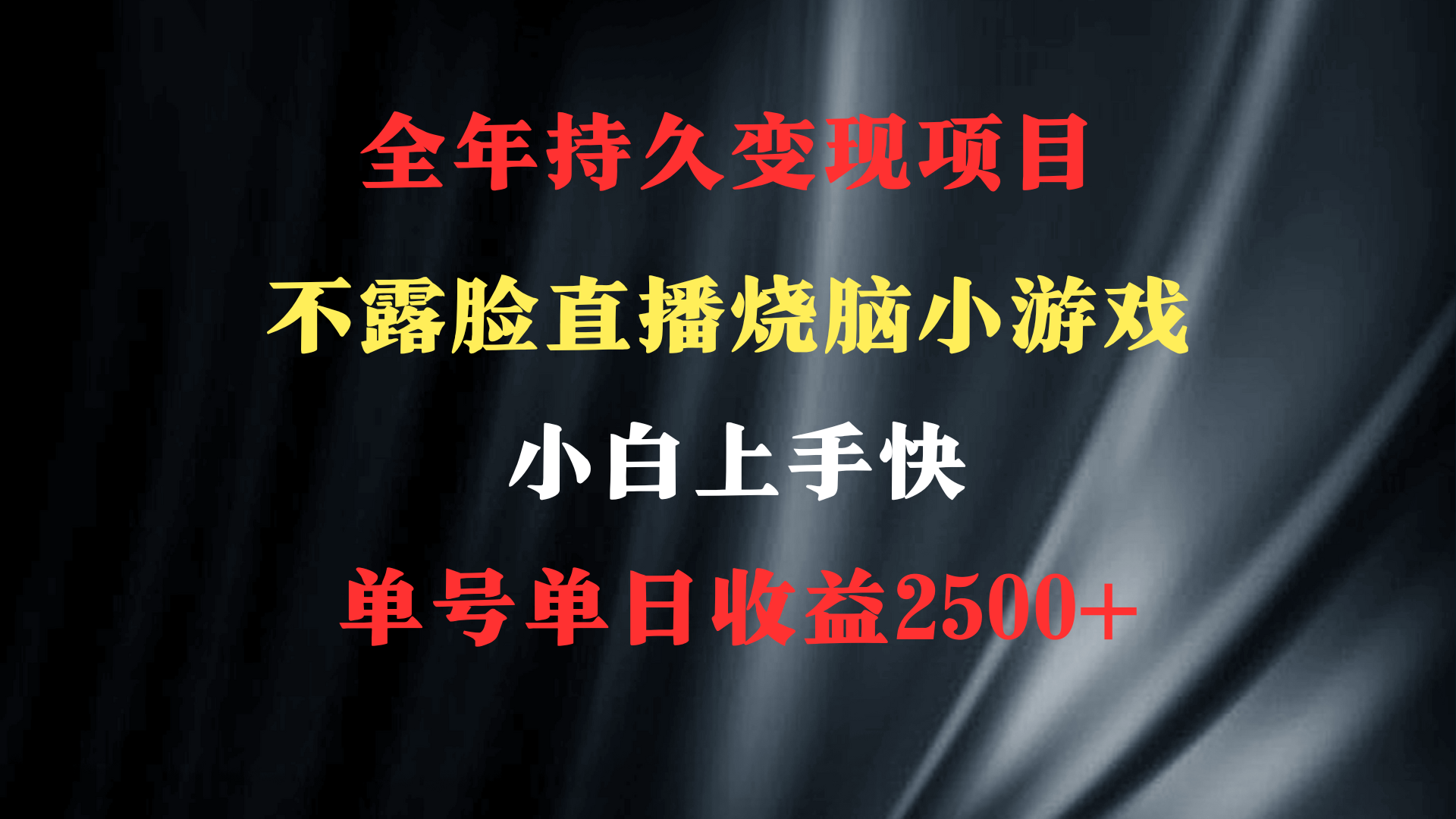 2024年 最优项目，烧脑小游戏不露脸直播 小白上手快 无门槛 一天收益2500+-起飞项目网