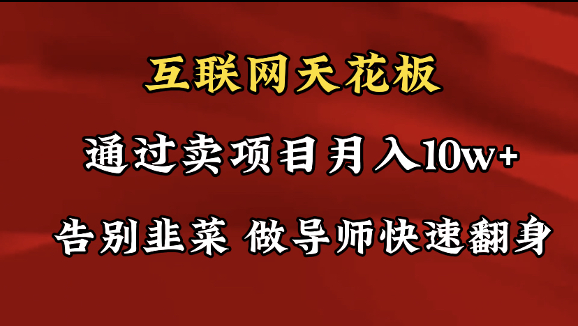 导师训练营互联网的天花板，让你告别韭菜，通过卖项目月入10w+-起飞项目网