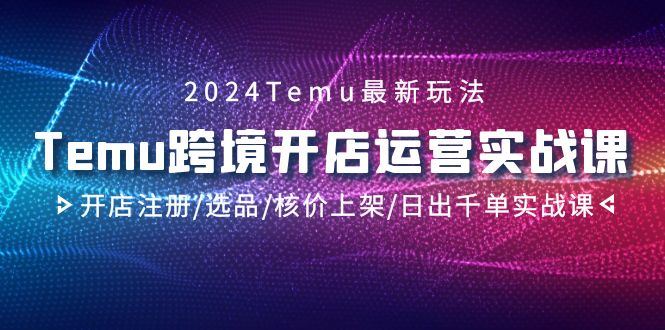 2024Temu跨境开店运营实战课，开店注册/选品/核价上架/日出千单实战课-起飞项目网