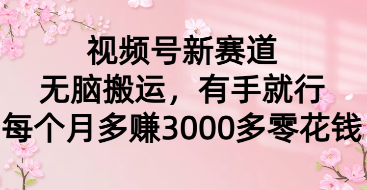 视频号新赛道，无脑搬运，有手就行，每个月多赚3000多零花钱-起飞项目网