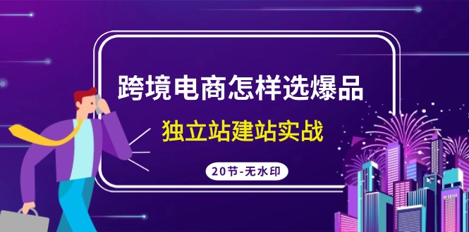 跨境电商怎样选爆品，独立站建站实战（20节高清无水印课）-起飞项目网