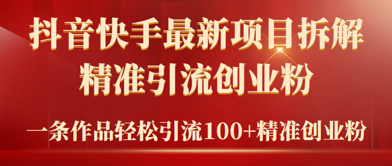 2024年抖音快手最新项目拆解视频引流创业粉，一天轻松引流精准创业粉100+-起飞项目网