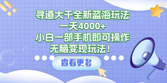 寻道大千全新蓝海玩法，一天4000+，小白一部手机即可操作，无脑变现玩法！-起飞项目网