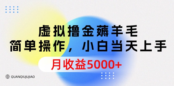 虚拟撸金薅羊毛，简单操作，小白当天上手，月收益5000+-起飞项目网