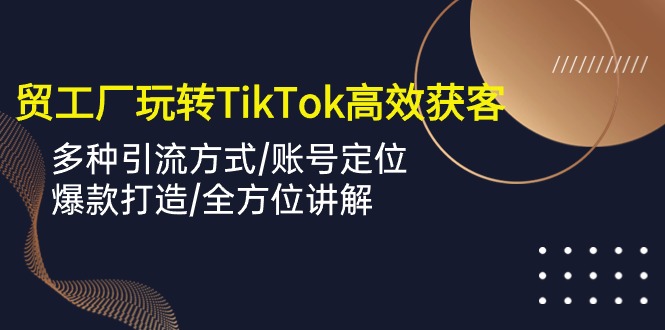 外贸工厂玩转TikTok高效获客，多种引流方式/账号定位/爆款打造/全方位讲解-起飞项目网