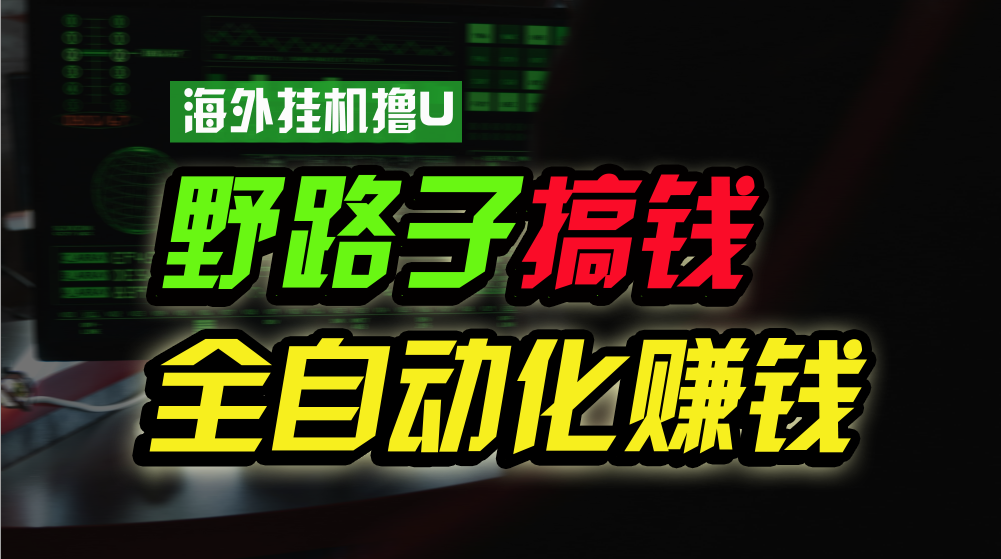 海外挂机撸U新平台，日赚8-15美元，全程无人值守，可批量放大-起飞项目网