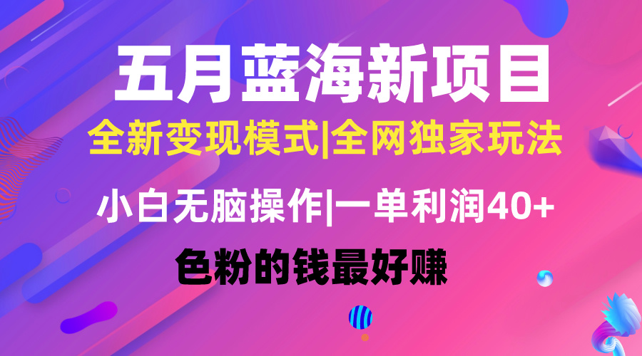 五月蓝海项目全新玩法，小白无脑操作，一天几分钟，矩阵操作，月入4万+-起飞项目网