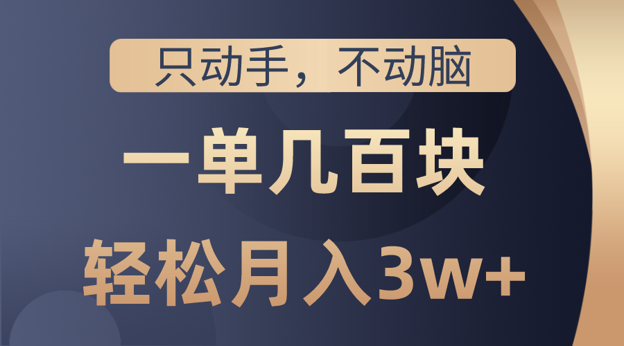 只动手不动脑，一单几百块，轻松月入3w+，看完就能直接操作，详细教程-起飞项目网