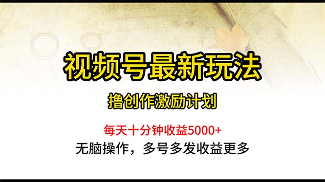 视频号最新玩法，每日一小时月入5000+-起飞项目网