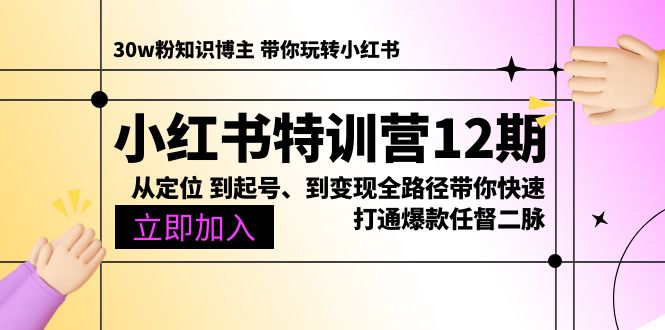 小红书：从定位 到起号、到变现全路径带你快速打通爆款任督二脉-起飞项目网