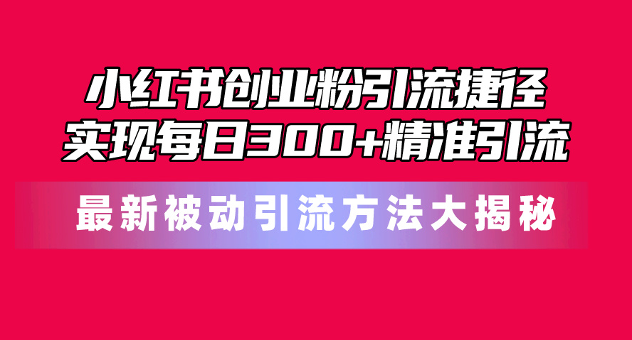 小红书创业粉引流捷径！最新被动引流方法大揭秘，实现每日300+精准引流-起飞项目网