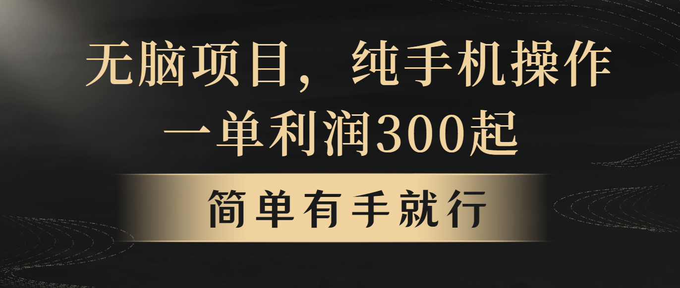 无脑项目，一单几百块，轻松月入5w+，看完就能直接操作-起飞项目网