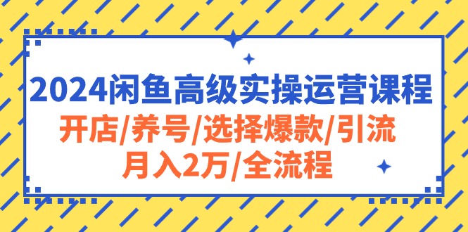 2024闲鱼高级实操运营课程：开店/养号/选择爆款/引流/月入2万/全流程-起飞项目网