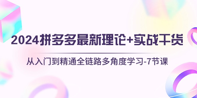 2024拼多多 最新理论+实战干货，从入门到精通全链路多角度学习-7节课-起飞项目网