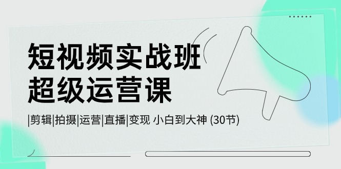 短视频实战班-超级运营课，|剪辑|拍摄|运营|直播|变现 小白到大神 (30节)-起飞项目网