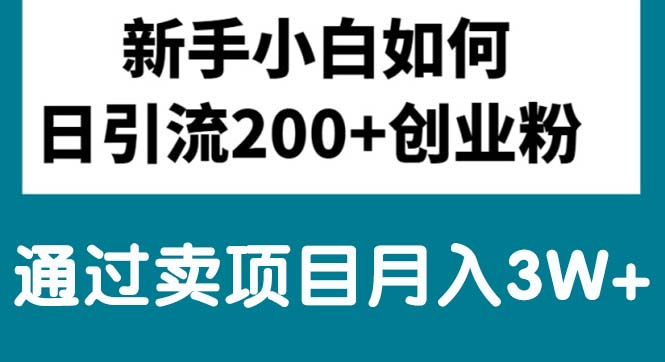 新手小白日引流200+创业粉,通过卖项目月入3W+-起飞项目网