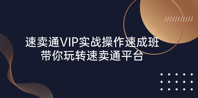 速卖通 VIP实战操作-速成班，带你玩转速卖通平台（23节）-起飞项目网