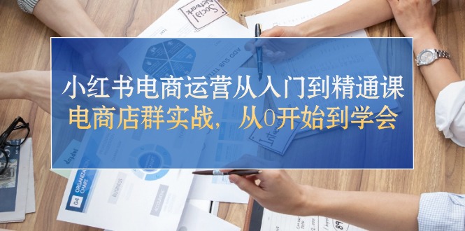 小红书电商运营从入门到精通课，电商店群实战，从0开始到学会-起飞项目网