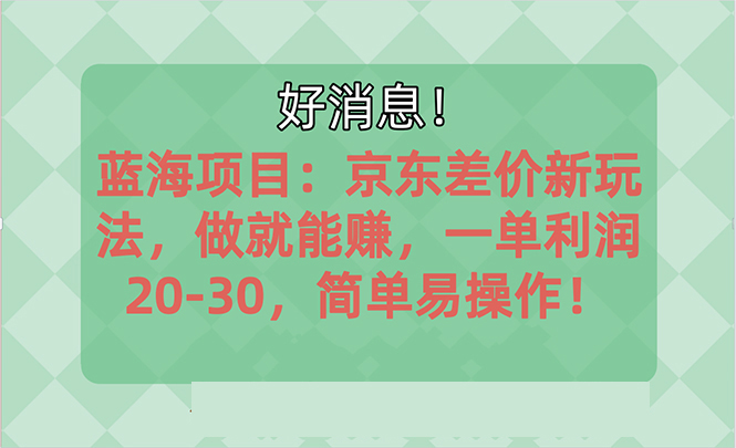 越早知道越能赚到钱的蓝海项目：京东大平台操作，一单利润20-30-起飞项目网