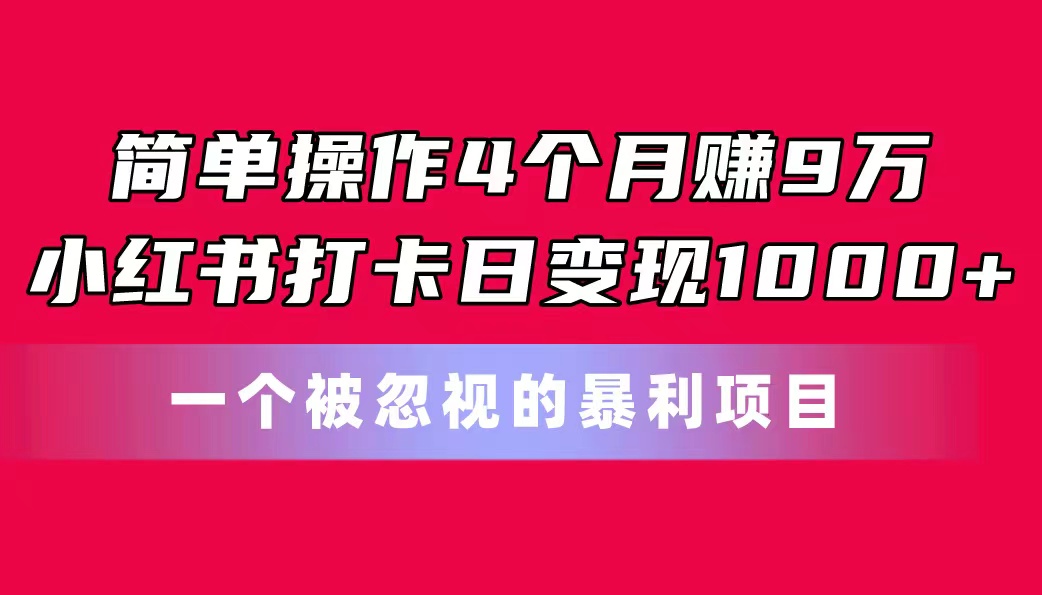 简单操作4个月赚9万！小红书打卡日变现1000+！一个被忽视的暴力项目-起飞项目网