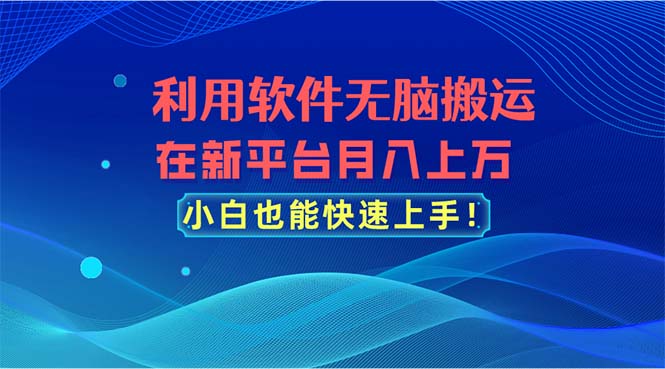 利用软件无脑搬运，在新平台月入上万，小白也能快速上手-起飞项目网