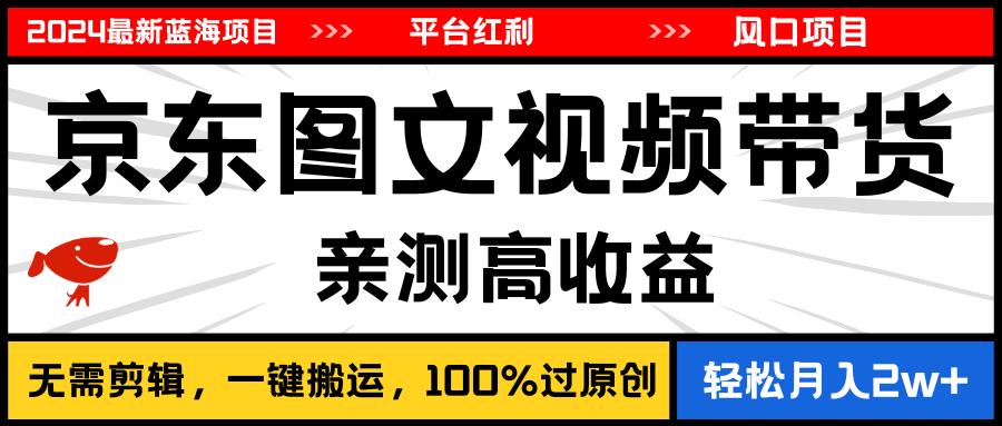 2024最新蓝海项目，逛逛京东图文视频带货，无需剪辑，月入20000+-起飞项目网