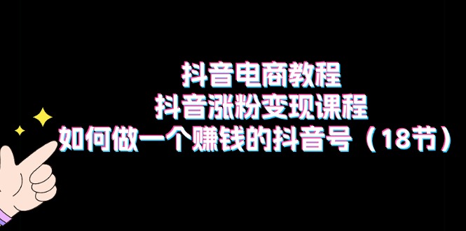 抖音电商教程：抖音涨粉变现课程：如何做一个赚钱的抖音号（18节）-起飞项目网