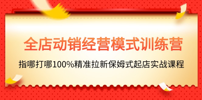 全店动销-经营模式训练营，指哪打哪100%精准拉新保姆式起店实战课程-起飞项目网